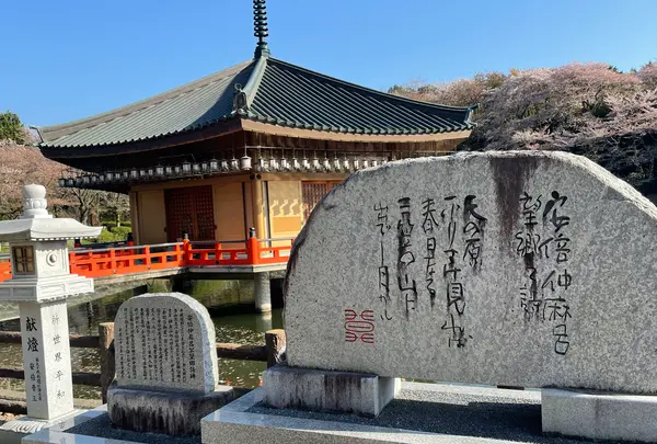 安倍文殊院の写真・動画_image_520445