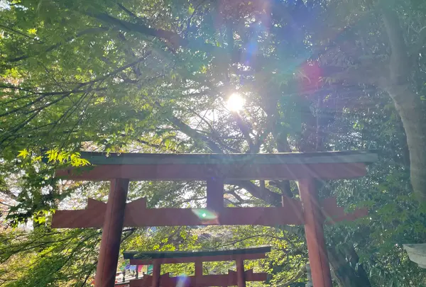 安倍文殊院の写真・動画_image_520446