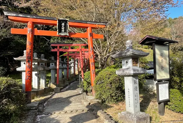 安倍文殊院の写真・動画_image_520448