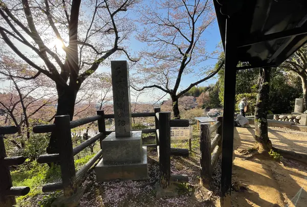 安倍文殊院の写真・動画_image_520450