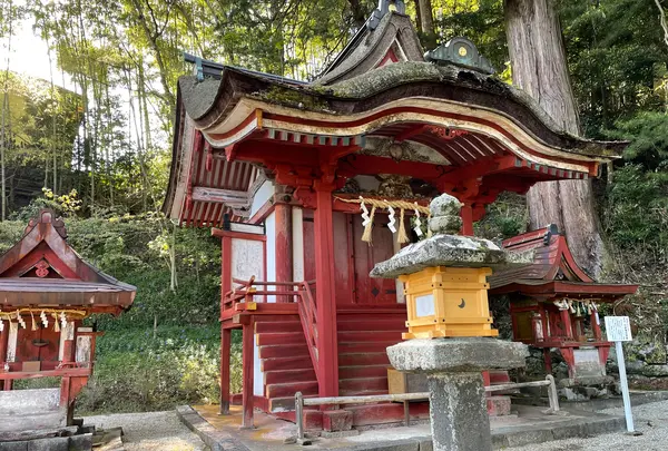 談山神社の写真・動画_image_520457