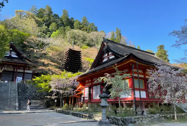 談山神社の写真・動画_image_520458
