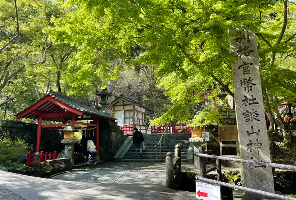 談山神社の写真・動画_image_520461