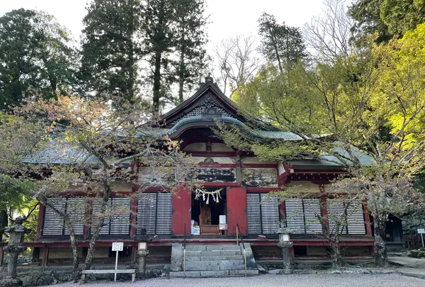 談山神社の写真・動画_image_520462