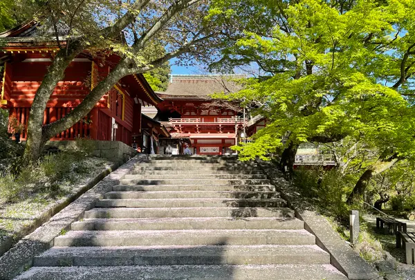 談山神社の写真・動画_image_520464
