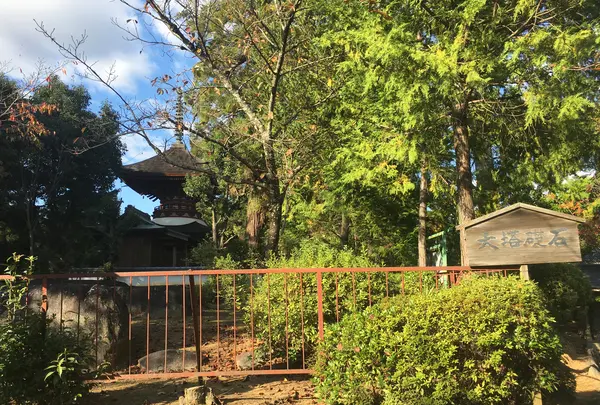 久米寺の写真・動画_image_520493