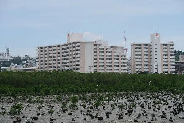 漫湖公園（鏡原側）の写真・動画_image_520585