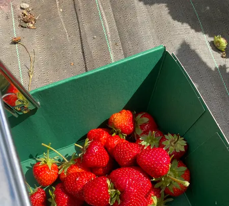 Farm Viltainの写真・動画_image_520863