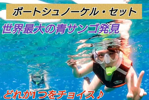 スカイウォーク沖縄 パラセーリング＆フライボード専門店の写真・動画_image_520922