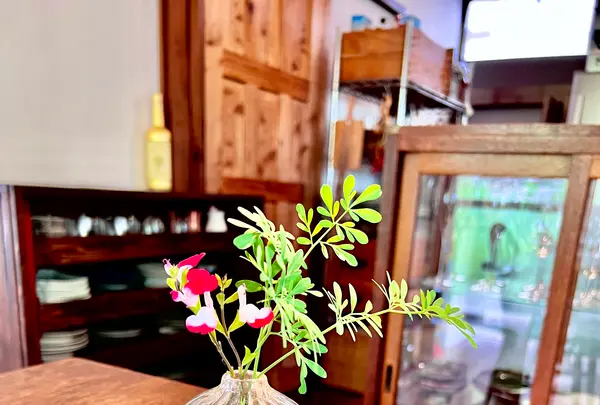 etsonaの写真・動画_image_521320