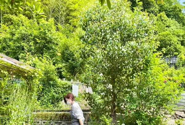 etsonaの写真・動画_image_521333