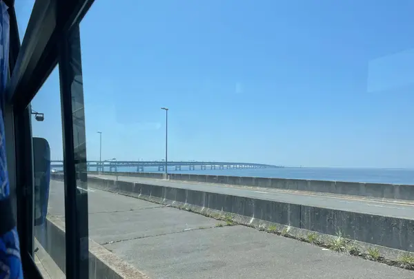 近鉄上本町駅（バス）の写真・動画_image_521335