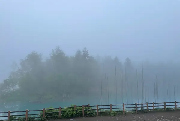 白金青い池の写真・動画_image_521486