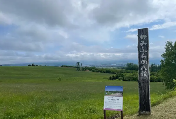 かみふらの八景 パノラマロード江花の写真・動画_image_521521