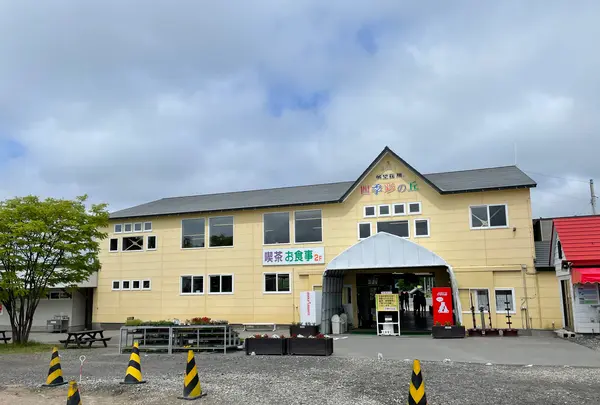 四季彩の丘の写真・動画_image_521525