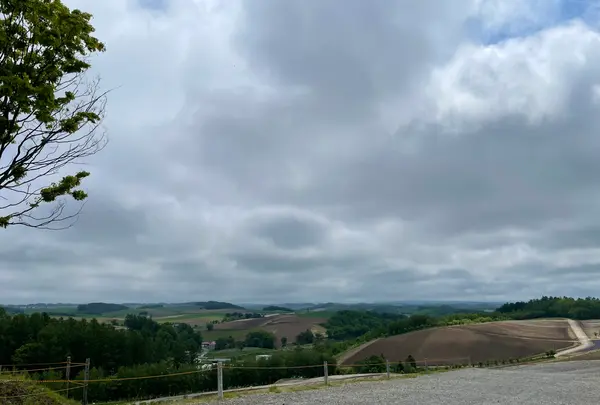 四季彩の丘の写真・動画_image_521526