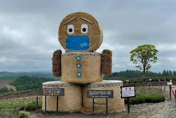 四季彩の丘の写真・動画_image_521527