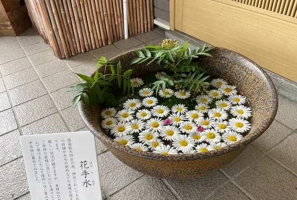 美瑛神社の写真・動画_image_521536