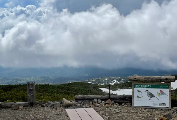 第三展望台の写真・動画_image_521595