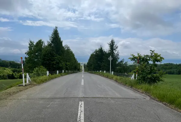 ジェットコースターの路の写真・動画_image_521612