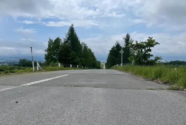 ジェットコースターの道の写真・動画_image_521617