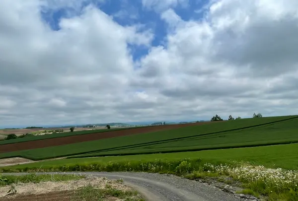 パッチワークの路の写真・動画_image_521621
