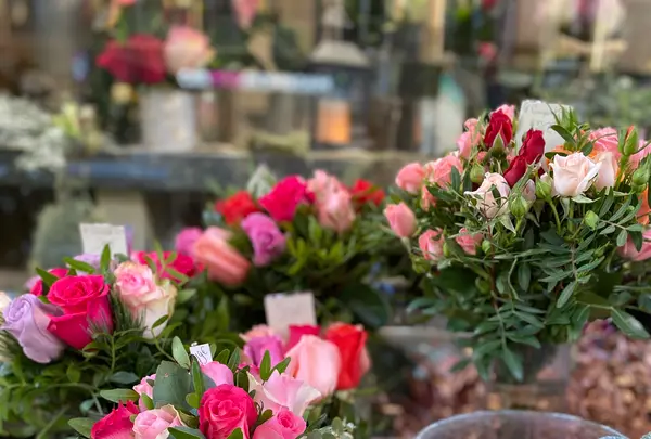 Au Nom De La Roseの写真・動画_image_521654