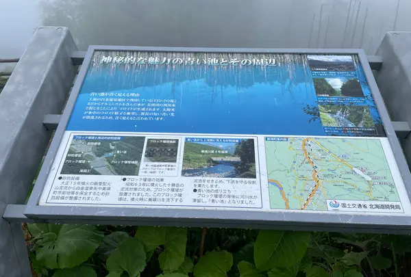 白金青い池の写真・動画_image_521666