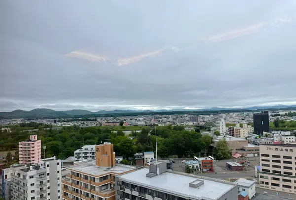 アートホテル旭川の写真・動画_image_521672