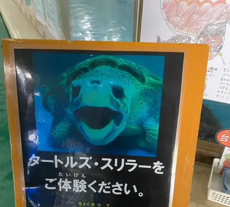 桂浜水族館の写真・動画_image_521957