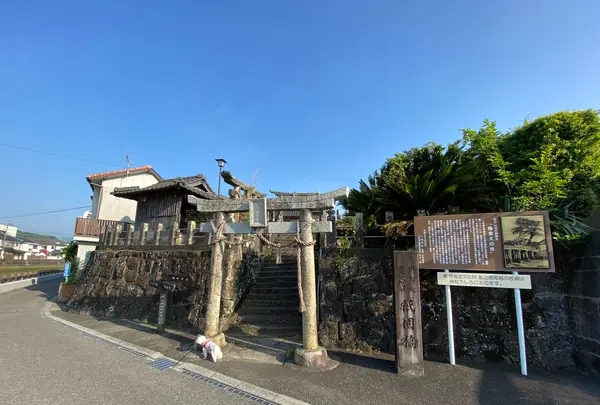 栄美屋旅館の写真・動画_image_522181