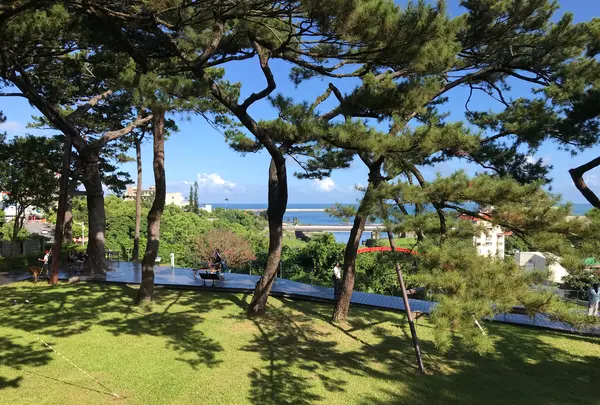 松園別館の写真・動画_image_522271