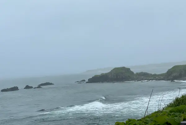 納沙布岬の写真・動画_image_522287