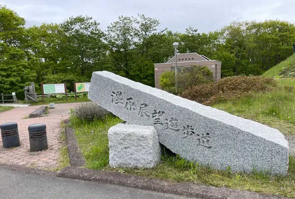 釧路市湿原展望台の写真・動画_image_522317