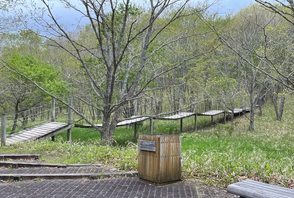 釧路湿原　吊り橋の写真・動画_image_522324