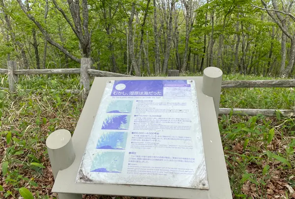 丹頂広場の写真・動画_image_522325