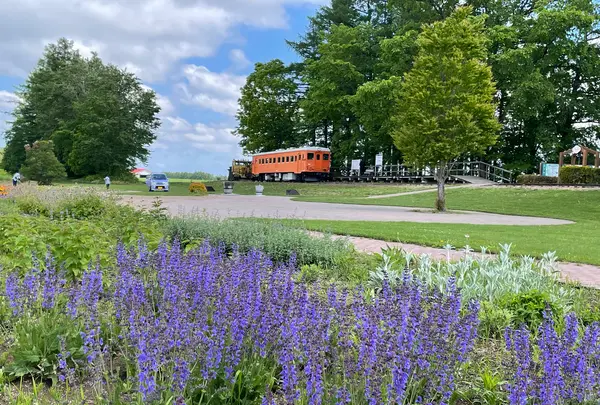 旧幸福駅（幸福鉄道公園）の写真・動画_image_522347