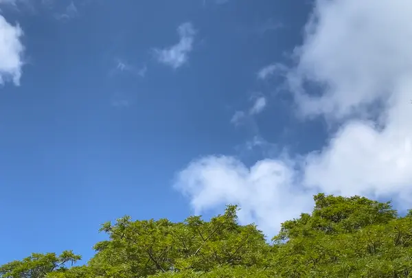 Ypao Beach（イパオ・ビーチ）の写真・動画_image_522426