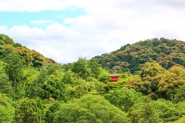 清水寺の写真・動画_image_522647