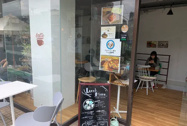 latte（ラテ）の写真・動画_image_522793