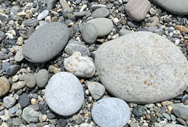 七星潭海岸風景特定区の写真・動画_image_523216