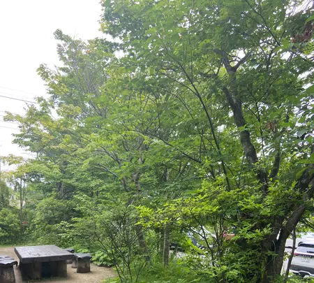 茶屋 卯三郎の写真・動画_image_523244