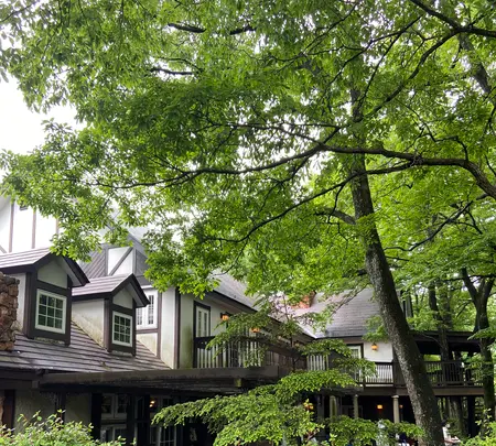 レストラン ペニーレイン（RESTAURANT PENNY LANE）那須店の写真・動画_image_523272