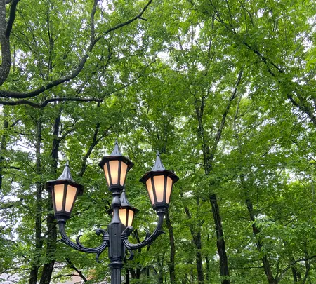 レストラン ペニーレイン（RESTAURANT PENNY LANE）那須店の写真・動画_image_523274