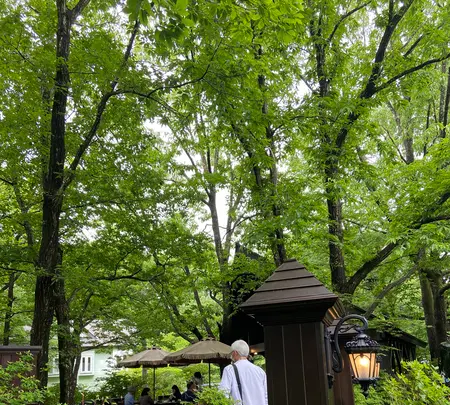 レストラン ペニーレイン（RESTAURANT PENNY LANE）那須店の写真・動画_image_523275