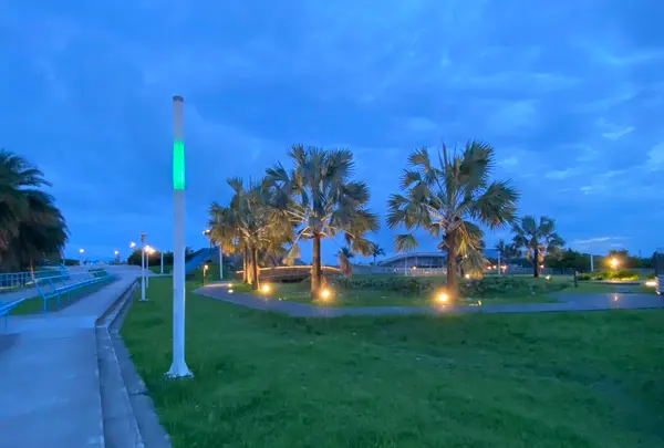 東大門國際觀光夜市の写真・動画_image_523387