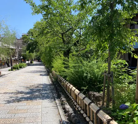 白川一本橋（行者橋）の写真・動画_image_523398