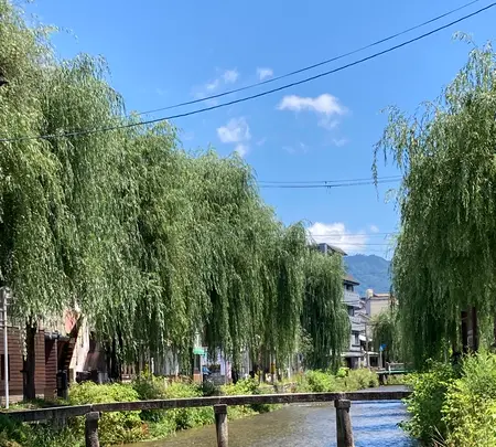 白川一本橋（行者橋）の写真・動画_image_523399