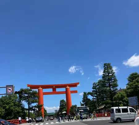 白川疏水通りの写真・動画_image_523403