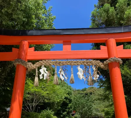 上賀茂神社（賀茂別雷神社）の写真・動画_image_523423